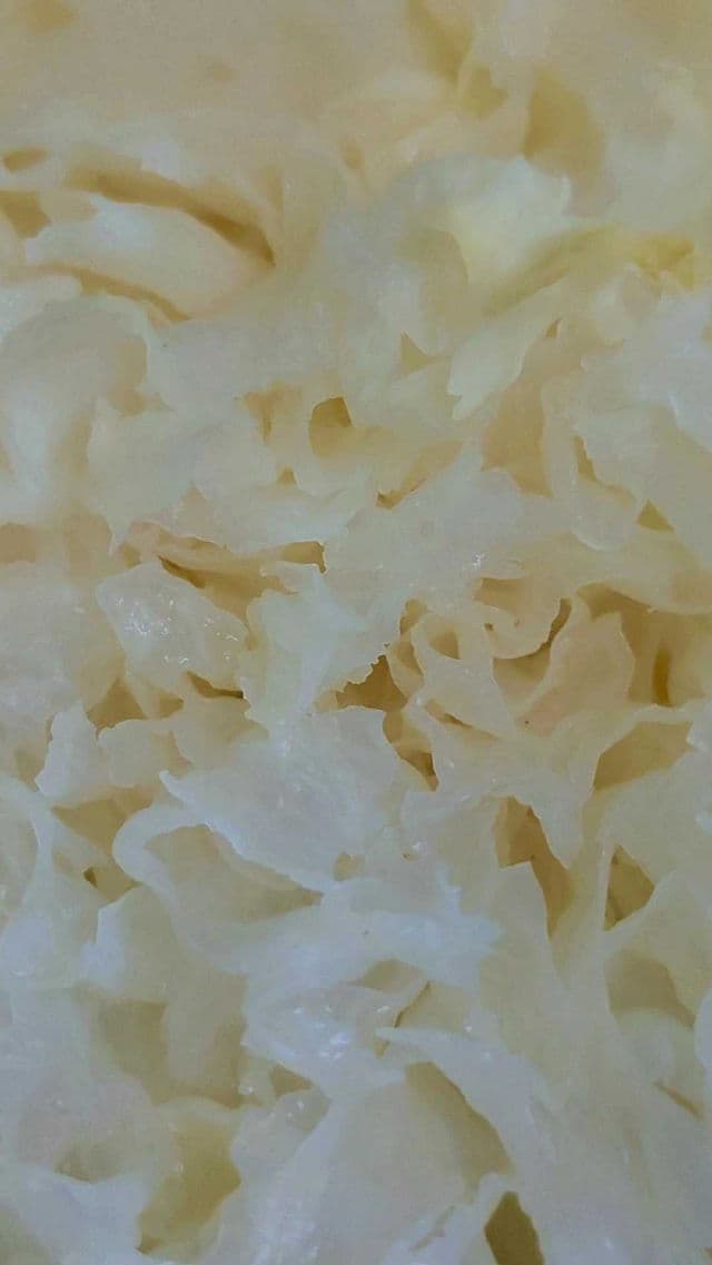 BLP Skin Tremella Daily Hydrating Gel review photo by Michico