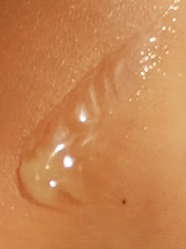 Bella Vita Organic Eyelift Gel Cream review photo by callistataylor