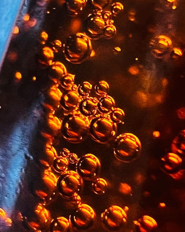 Stratia FORTIFY review photo by Binci