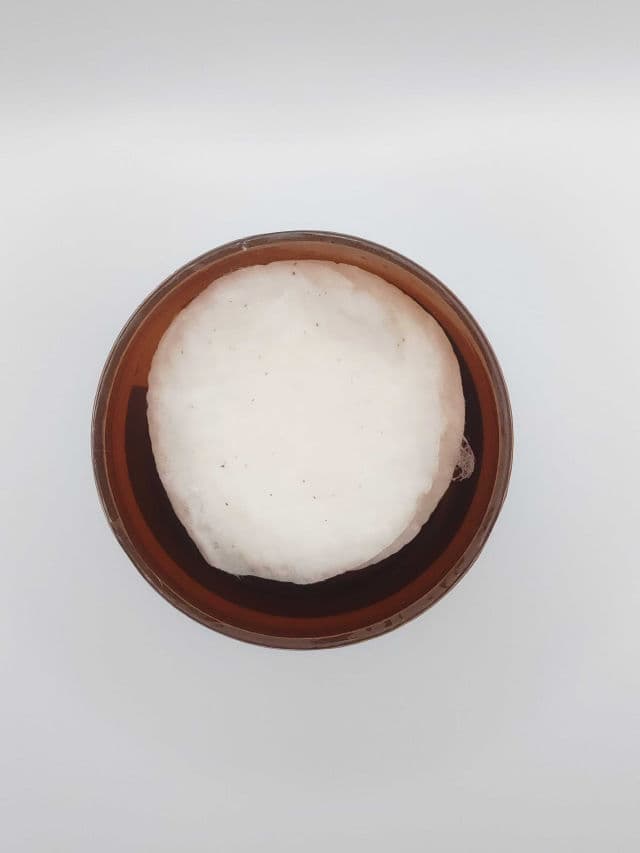 SKINFOOD Pantothenic Water Parsley Clear Pad review photo by myskindiaries