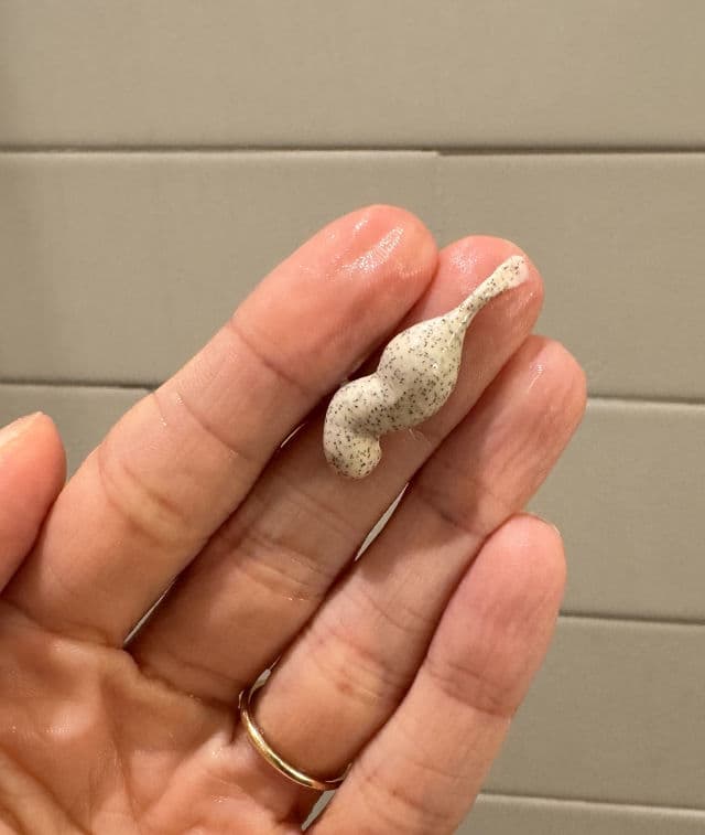 Veg Out Organics Enzymatic Facial Exfoliator review photo by beetn