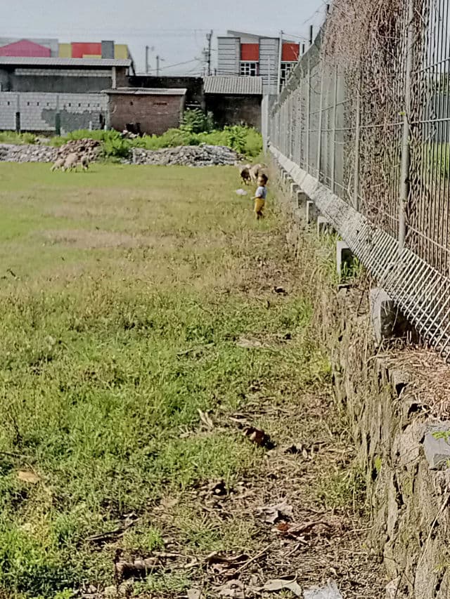 Dr. Dennis Gross Skincare Vitamin C Lactic Oil-Free Radiant Moisturizer review photo by indahfitriani