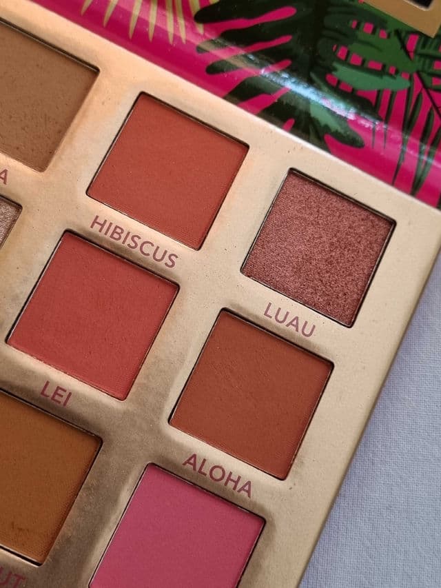 BH Cosmetics Hangin' in Hawaii Eyeshadow Palette review photo by glowandsunshine