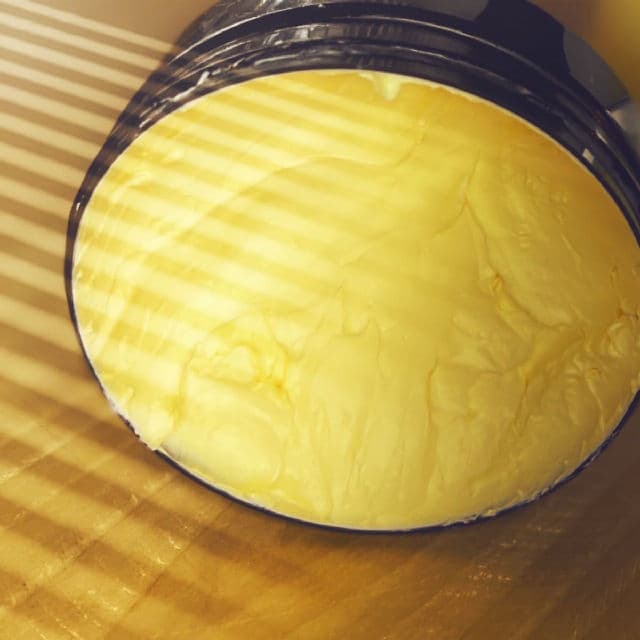 The Body Shop Mango Body Butter (Vegan) review photo by tnfriendrenee