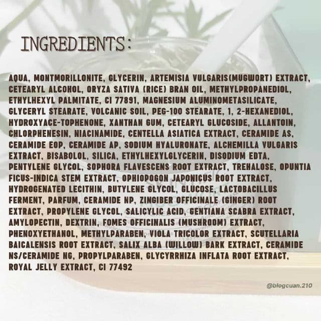 Skintific Mugwort Anti Pores & Acne Clay Mask review photo by Blogcuan