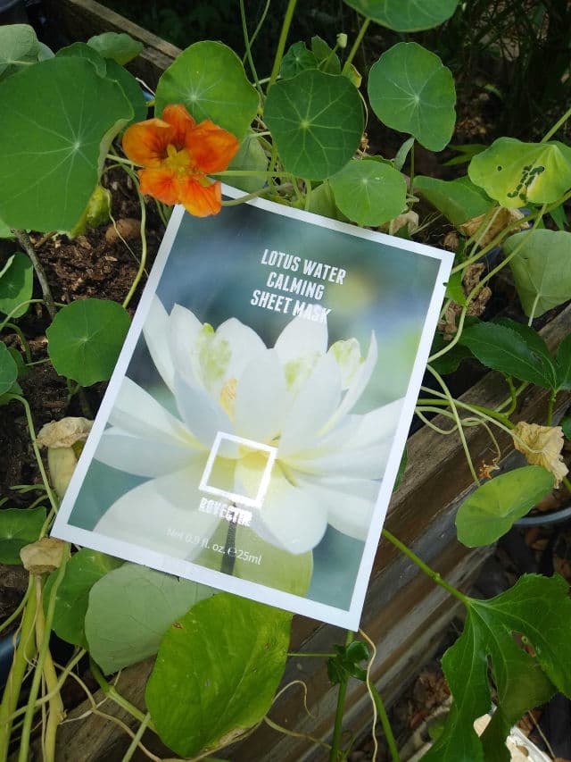 Picky Picky Box #9 | Vegan Box review photo by jaxgma2020