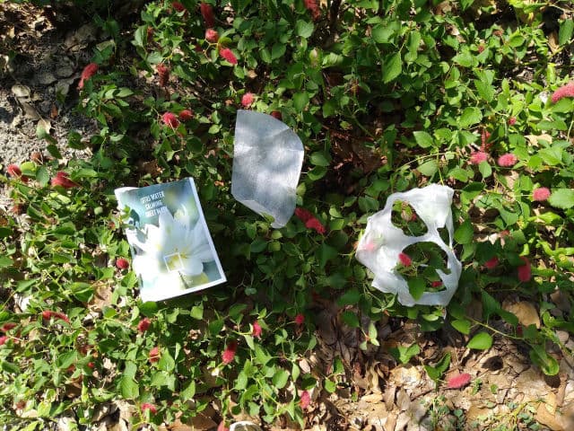 Picky Picky Box #9 | Vegan Box review photo by jaxgma2020