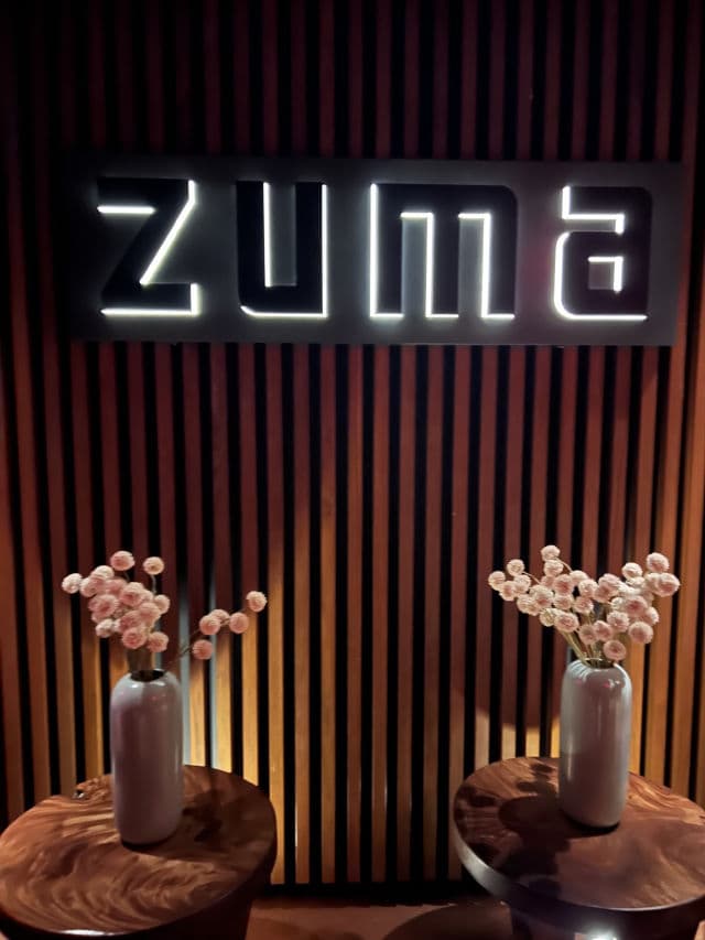 VDL Conditioning Lipcerin review photo by PickyLee