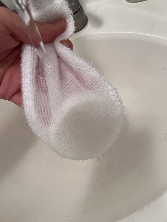 DAMDAM Snow Mushroom Pore Cleanser review photo by PickyLee