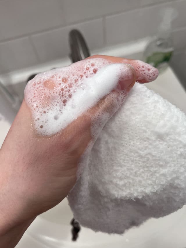 DAMDAM Snow Mushroom Pore Cleanser review photo by PickyLee