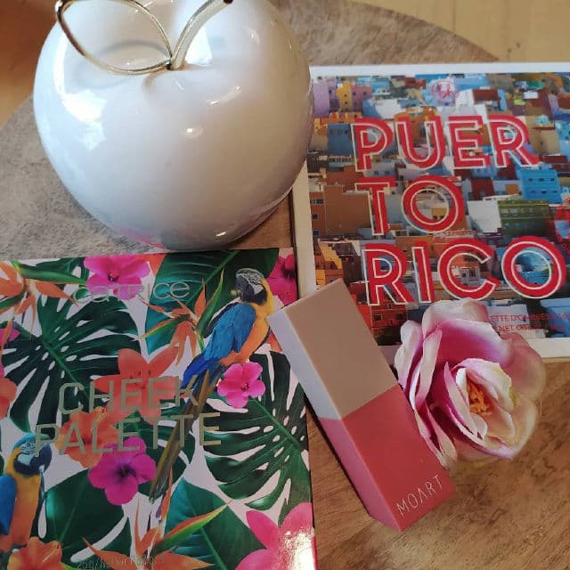 BH Cosmetics Party in Puerto Rico review photo by kbeautysandra