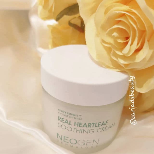NEOGEN Dermalogy Real Heartleaf Soothing Cream review photo by cariadsbeauty