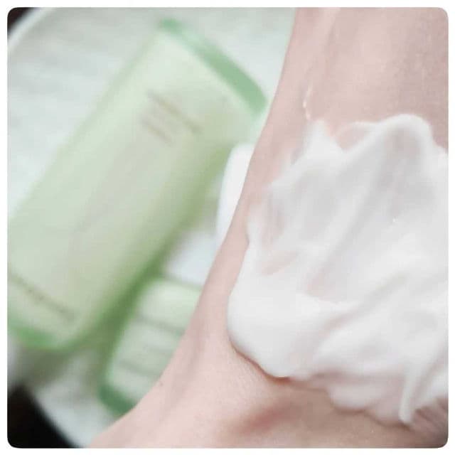 SanDaWha Camellia Renew Moisturizing Liposome Cream review photo by OhMorganMorgan