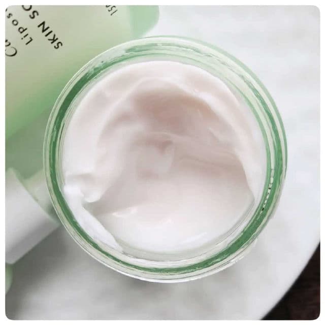 SanDaWha Camellia Renew Moisturizing Liposome Cream review photo by OhMorganMorgan