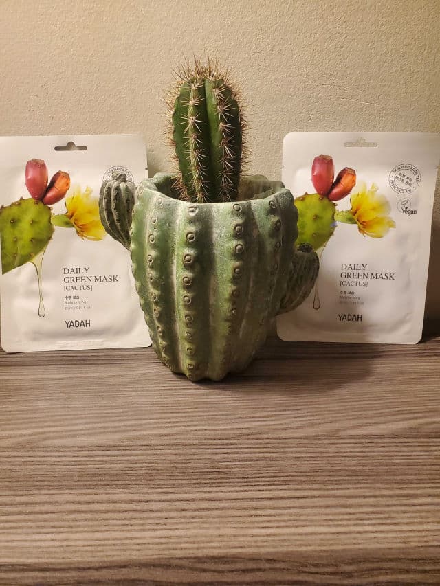 Yadah Daily Green Mask - Cactus review photo by kiley67
