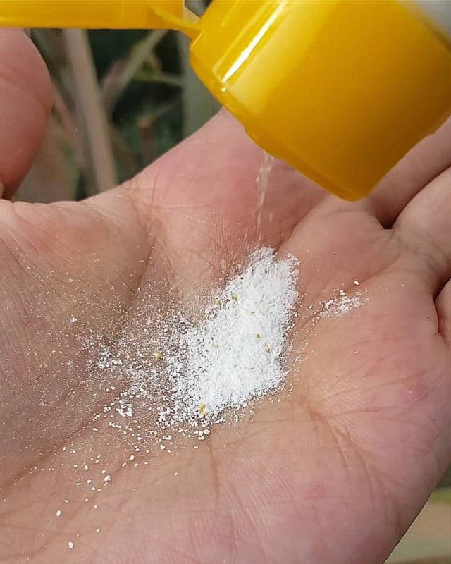 Meditherapy Vita Real Toning Enzyme Powder Cleanser review photo by AlottaxReviews