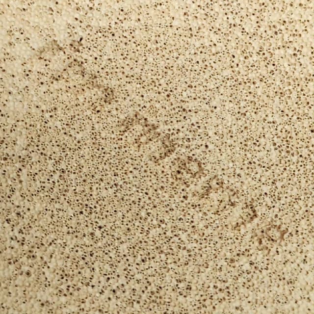 Wonder Velvet Lasting Cushion SPF50+ PA++++ product review