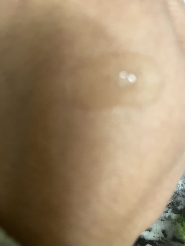 Viegano AHA BHA LHA PHA review photo by QueenTania