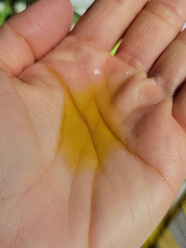 DHC Deep Cleansing Oil® Travel Size review photo by JillF