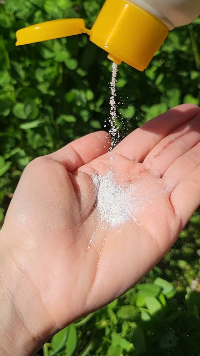 Meditherapy Vita Real Toning Enzyme Powder Cleanser review photo by JillF