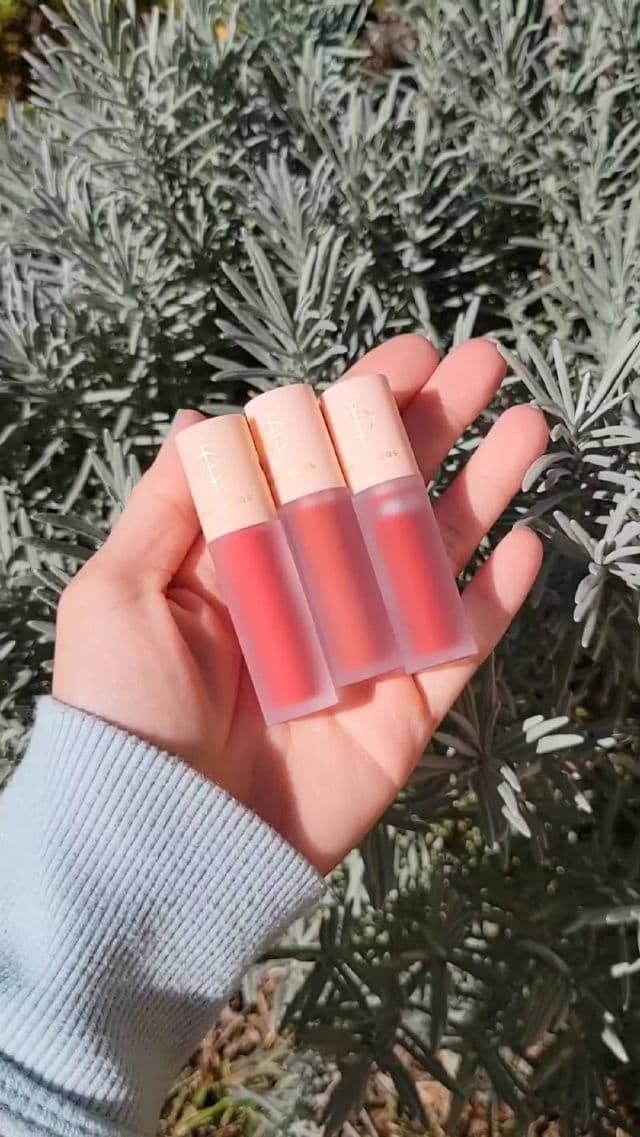 Forencos 03 Brick review photo by JillF