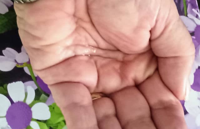 elleybear 2 in 1 Hand Cleaner & Soothing Gel review photo by Mucci