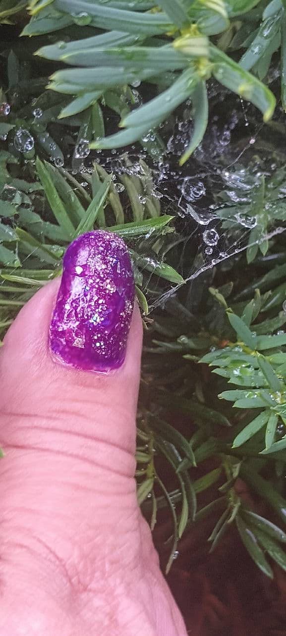 Sally Hansen Xtreme Wear review photo by Mucci