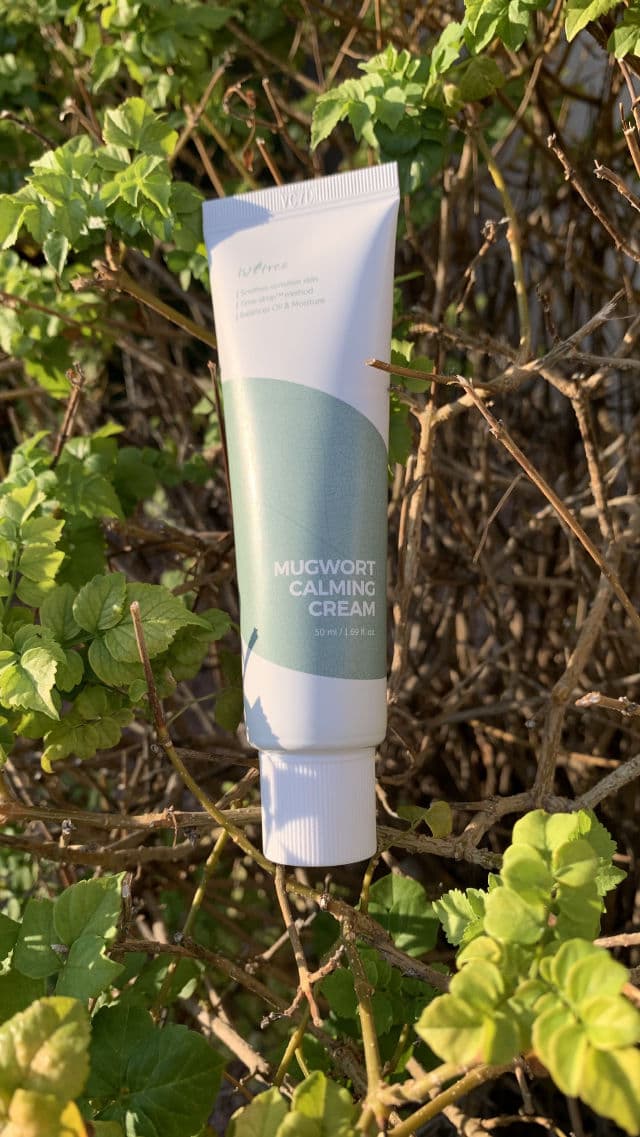 ISNTREE Spot Saver Mugwort Cream review photo by Oilyskincare