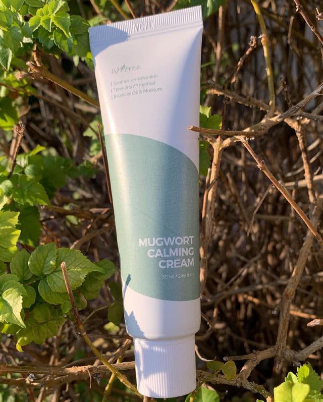 ISNTREE Spot Saver Mugwort Cream review photo by Oilyskincare