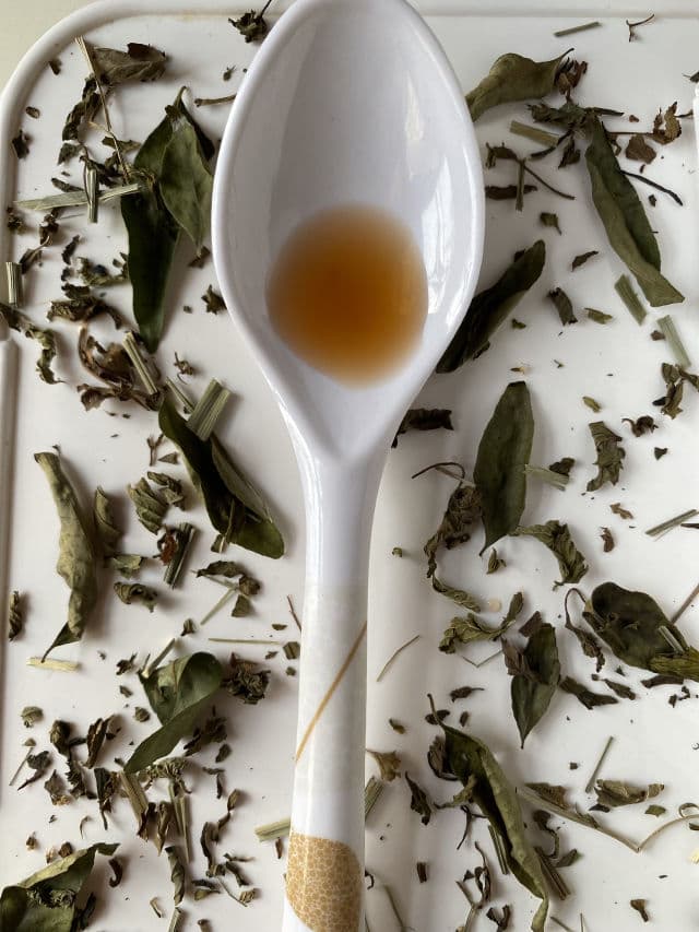 ISNTREE Green Tea Fresh Toner review photo by Shivach