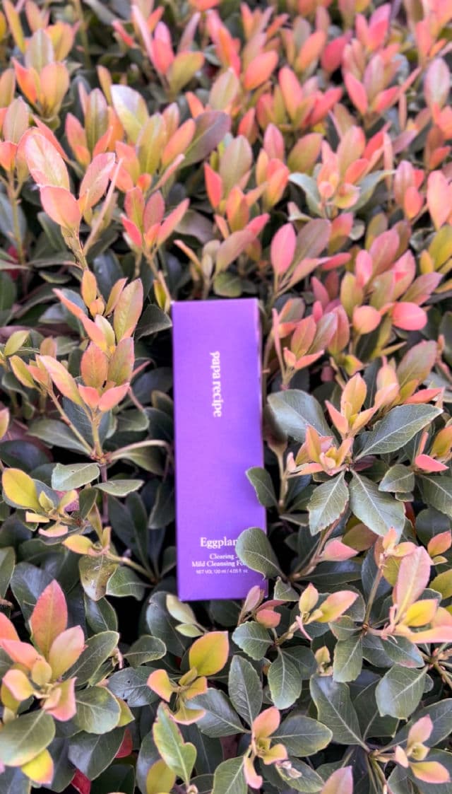 PAPA RECIPE Eggplant Clearing Mild Cleansing Foam review photo by adinaikai