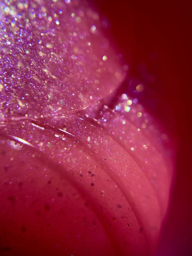 REYENA16 Heart Clover Hydrogel Multi Patch review photo by KbeautyUwU