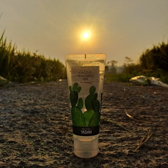 Yadah Cactus Soothing Gel review photo by Chantiara