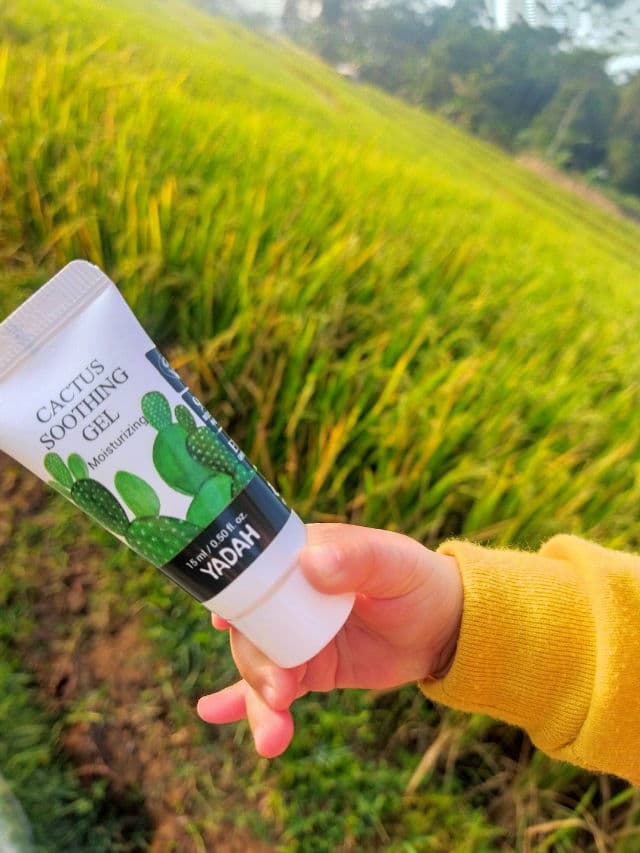 Yadah Cactus Soothing Gel review photo by Chantiara