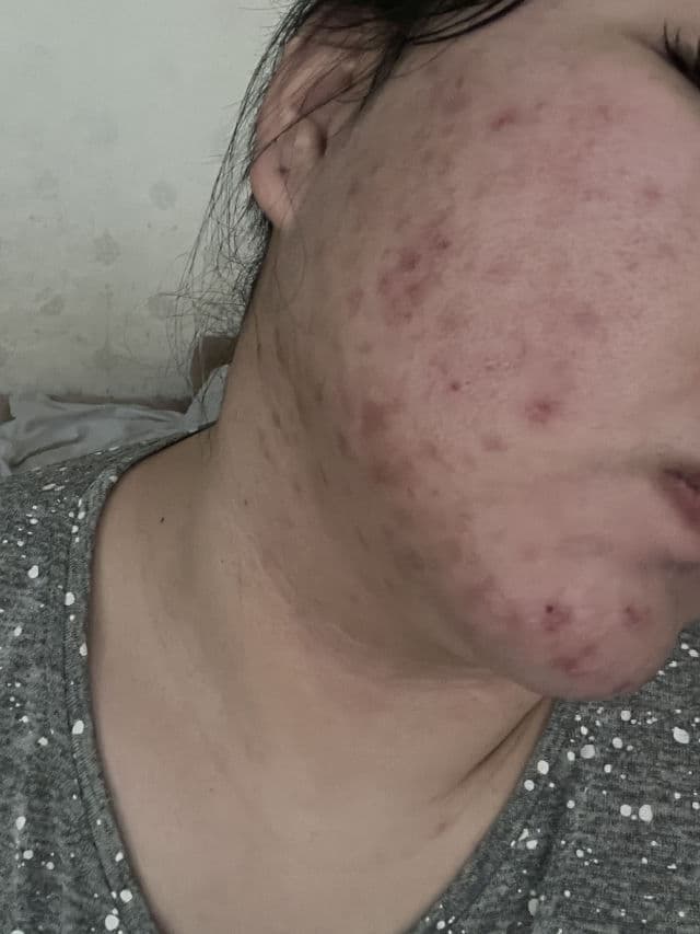 TIAM Vita B3 Source review photo by Nominerdene