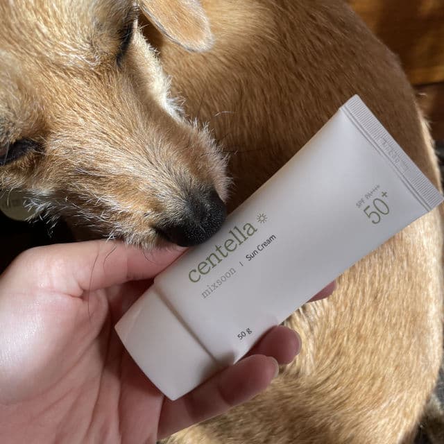 MIXSOON Centella Asiatica Sun Cream SPF 50+ PA++++  review photo by skincarebygiulia