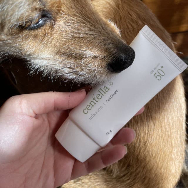 MIXSOON Centella Asiatica Sun Cream SPF 50+ PA++++  review photo by skincarebygiulia