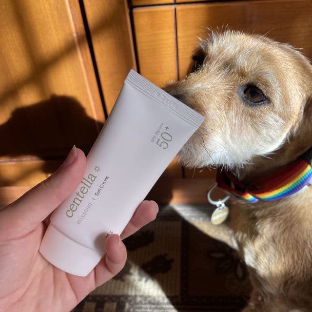 MIXSOON Centella Asiatica Sun Cream SPF 50+ PA++++  review photo by skincarebygiulia