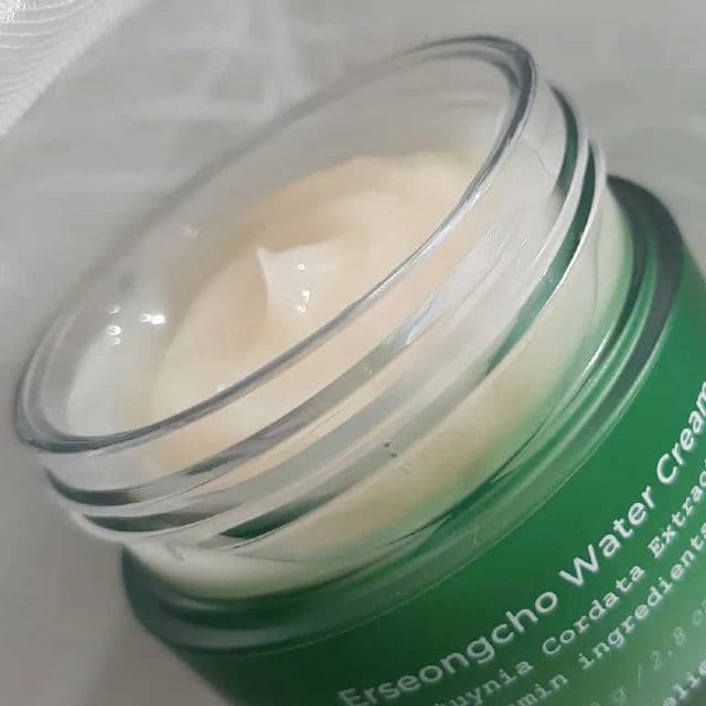 Heynature Erseongcho Water Cream review photo by Alice101