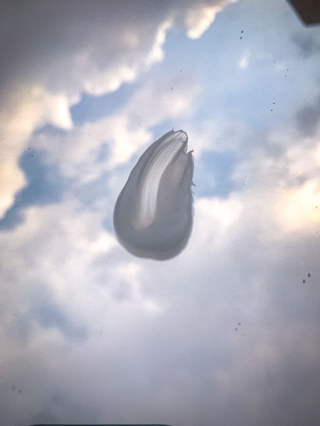 Iunik Beta Glucan Daily Moisture Cream review photo by Affreen