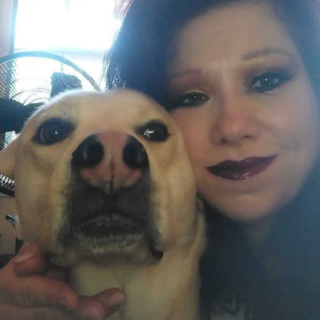 Urban Decay Naked Honey Eyeshadow Palette review photo by BurgundySpider