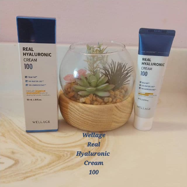 Wellage Real Hyaluronic Cream 100 review photo by BurgundySpider