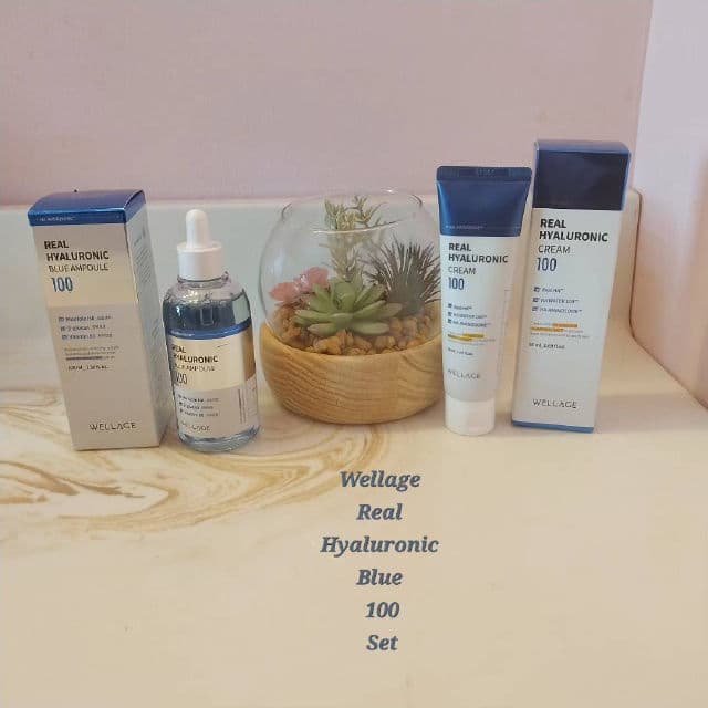 Wellage Real Hyaluronic Cream 100 review photo by BurgundySpider