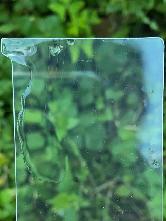 Veganifect. Clean & Glow Green Barley First Essence review photo by MinChoLee