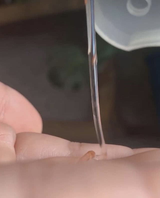 La Florelle Provence Rose Foam Cleanser review photo by PickyyPhat