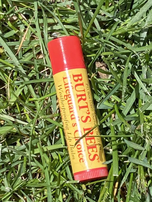 Burt's Bees All-Weather SPF 15 Moisturizing Lip Balm review photo by DanielleSkin27