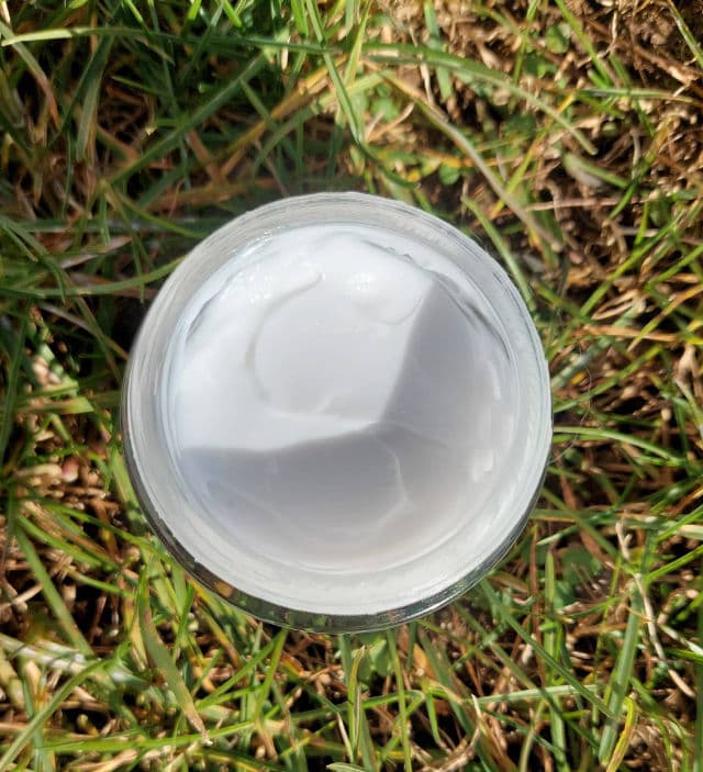 Rice Cream product review