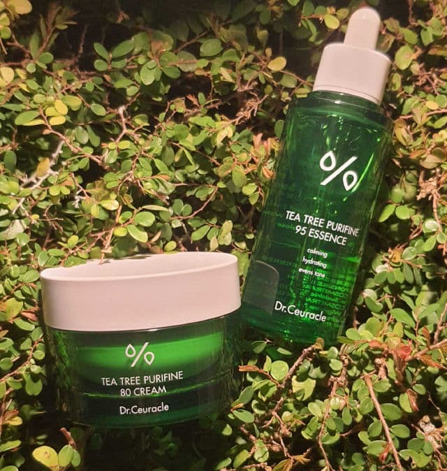 Dr. Ceuracle Tea Tree Purifine 95 Essence review photo by ChristieX
