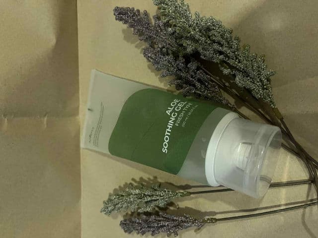 ISNTREE Aloe Soothing Gel Fresh Type review photo by caerusnana