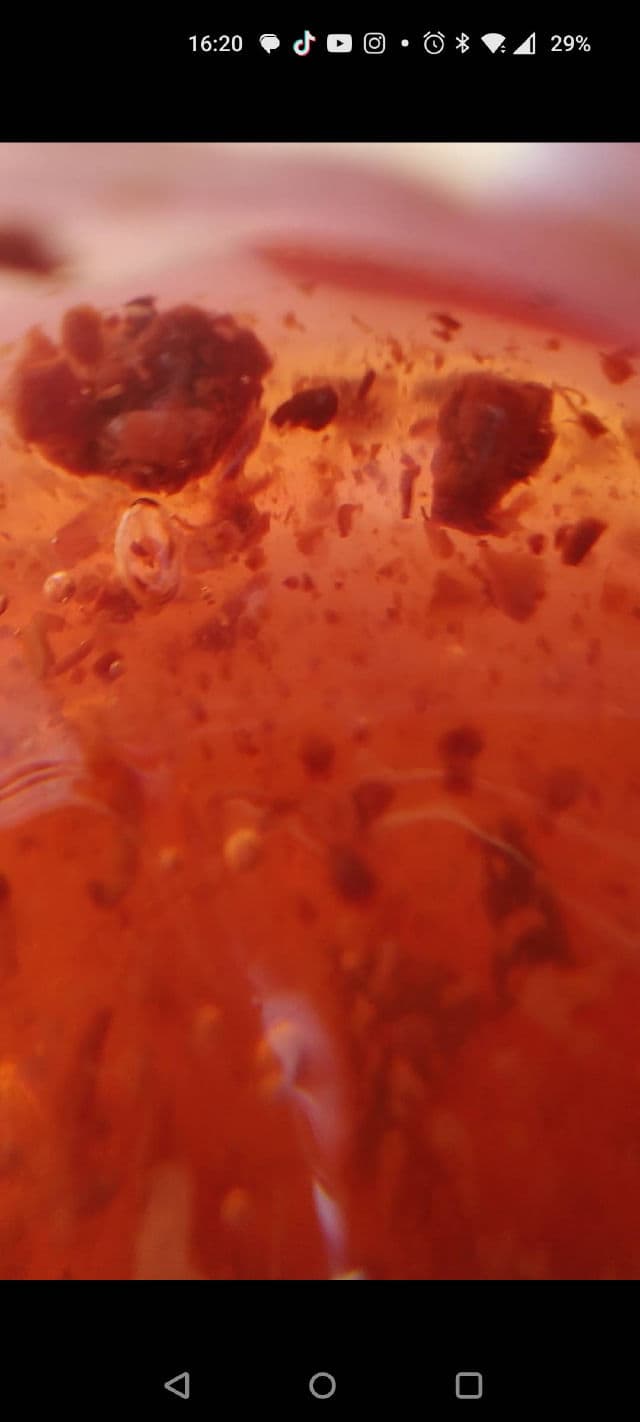 SanDaWha Camellia Flower Antioxidant Cream Mask review photo by Lesyao